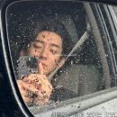 트래블 서치 이미지
