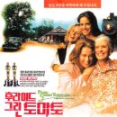 그린토마토 이미지