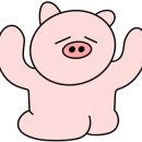 광주한우정육점 이미지