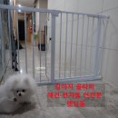 더펫프리미엄 | 강아지 울타리 애견 안전문 딩동펫 프리미엄 실사용후기