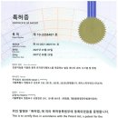 지에스비젼