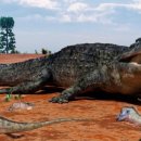 사르코수쿠스 이미지