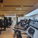 싸피엔스짐 명지국제신도시점 이미지