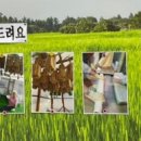 통복시장로21번길 이미지