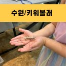 구청 후문 맞은편 이미지