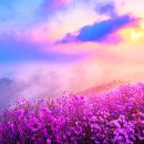 진달래주유소 네이버블로그