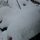 영암햇살농장 이미지