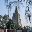 보드가야(BODHGAYA) 이미지