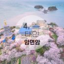 2026,04,19(일)태안 안면암 정기산행겸 여행 이미지