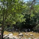 쌍곡예당야영장 | [공지] 청주 계곡 평상 대여 아이랑 물놀이 추천 쌍곡예당