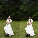 푸르르(Prrr) | [W-BLOG] 웨딩촬영용 부케, 부케고르는법, 유색부케,경주푸르르