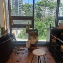 펌앤컷미용실 이미지