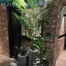 발리무인텔 이미지