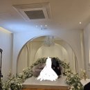 메리엘 | 세인트메리엘 강남 메리엘홀 하객 후기