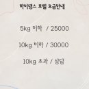 하이댕스 이미지