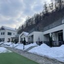 도그-in 하우스 이미지