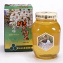 영동양봉영농조합 이미지