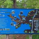 (07/20) 대청호 오백리 호반낭만길&amp;계족산 황톳길 원정입니다 이미지