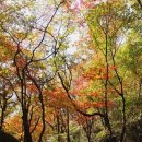 냉천골민박 이미지