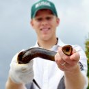 칠성장어 이미지