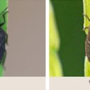 울산광역시농업기술센터 이미지