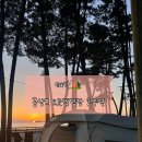 몽산포오토캠핑장 | 태안 해루질하기 좋은 오션뷰 몽산포 오토캠핑장 2구역 후기