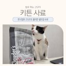 우수사료 | 닥터클라우더 키튼 사료 리뷰, 편식 고양이 기호성 보고 놀란 후기