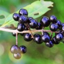 주식회사 백승 이미지