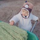 유현목장 이미지