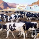 경리농장 이미지