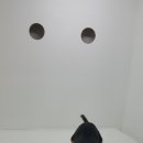 천지추 애견샵 이미지