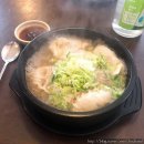 귀소 한방 만둣국 | 한방 만둣국 : 하루에 100그릇 판매