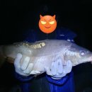 중리낚시터 | 포천 중리테마파크낚시터 1박2일 후기, 시설좋은 깨끗한 낚시터 이용안내 :)