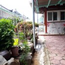 동초등학교 이미지