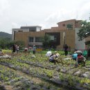 세명2농장 이미지