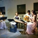 현악 앙상블(바이올린) 이미지