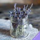 비에이치엘 테라피 이미지