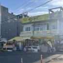 5116 | [울산 병영 석화찜 맛집] 신선한 해산물이 가득한 “살아있네” 후기