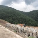 동산태양광발전소 이미지