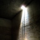 더 숲Ⅰ 이미지