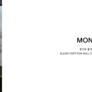 모노시스템monosystem