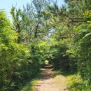 봉래산시름재 이미지