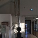 따스하개 이미지