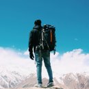 [시민제안강좌]  치유요가 | 도시 자연 명소: 도심 속에서 찾은 힐링과 활력