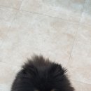 김고은그루밍# 네이버블로그