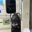 댕댕셰프 | 펫츠고 2025순천 댕댕 트레인 펫 패키지여행 내돈내산 후기🐶 <참고사항> 중형견, 나 홀로 여행, 강아지...