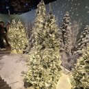 부산글로벌빌리지점(영양사) | 부산 연말데이트로 딱! 영화의전당 크리스마스빌리지 산타마을 먹거리후기!