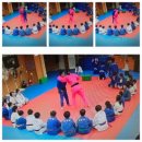 강릉 용인대 유도 멀티짐 이미지