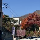 크레마75 | 남양주 화덕피자 맛집 ‘한옥에서 Pizza 온고재’ 🍕/ 웨이팅/ 주차/ 마르게리따, 풍기크레마 후기