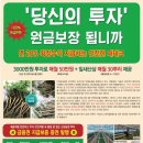 지리산 잎새산삼 농장 분양 3000만원 이미지